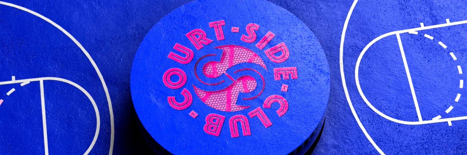 CourtSide Basketball Court